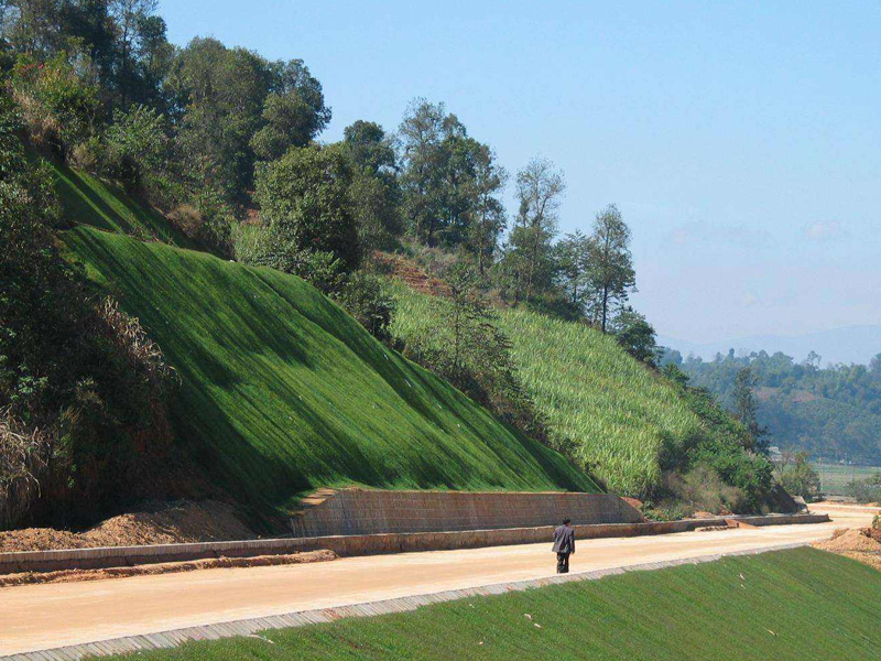 边坡绿化专用肥喷播绿化施工方法和技术