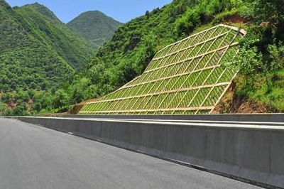 山东高速公路边坡绿化
