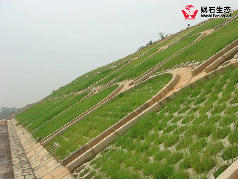 徐州承接边坡绿化施工团队