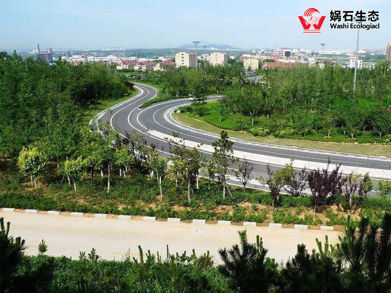 南昌专业高速公路边坡绿化公司
