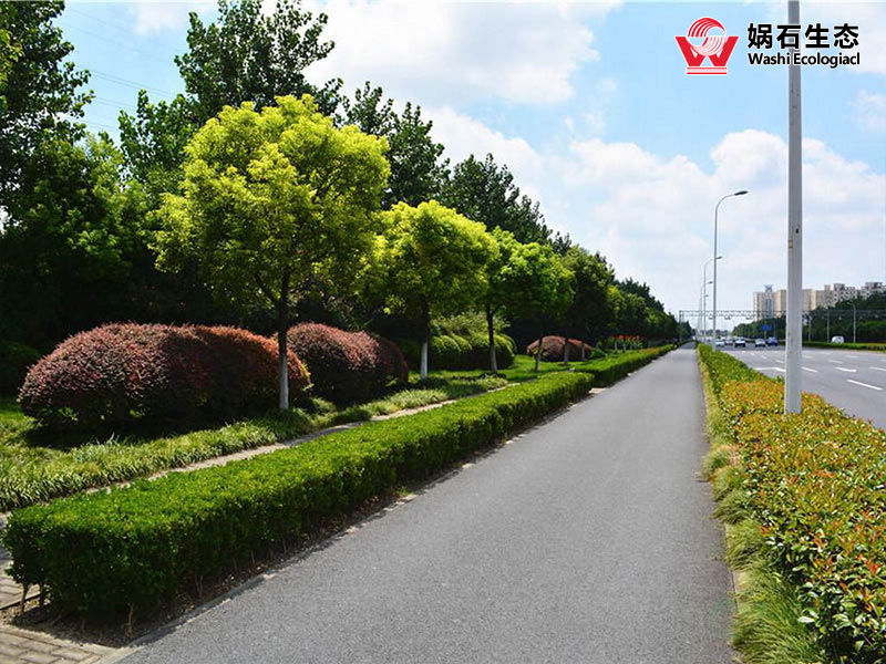 四川专业高速公路边坡绿化公司
