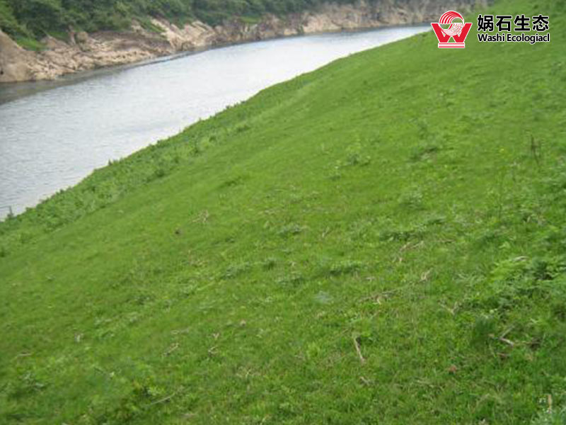 芜湖承接边坡生态修复施工方案