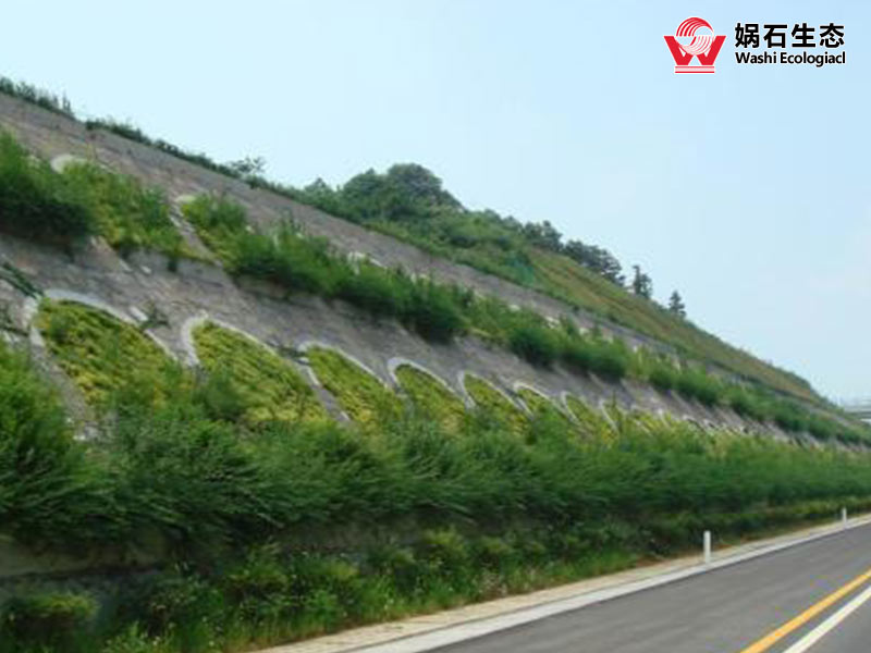 四川 高速公路边坡绿化/护坡绿化