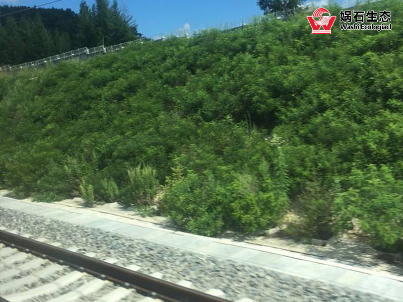 吐鲁番铁路两旁边坡护坡绿化